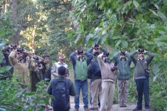 There-are-more-than-300-species-of-birds-around-Chhoti-Haldwani