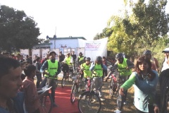 DSC05023