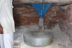 DSC03008